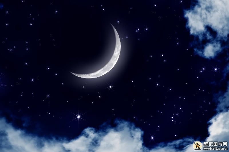 皎洁的月光下 世界仿佛变得温柔而神秘 3840x2160
