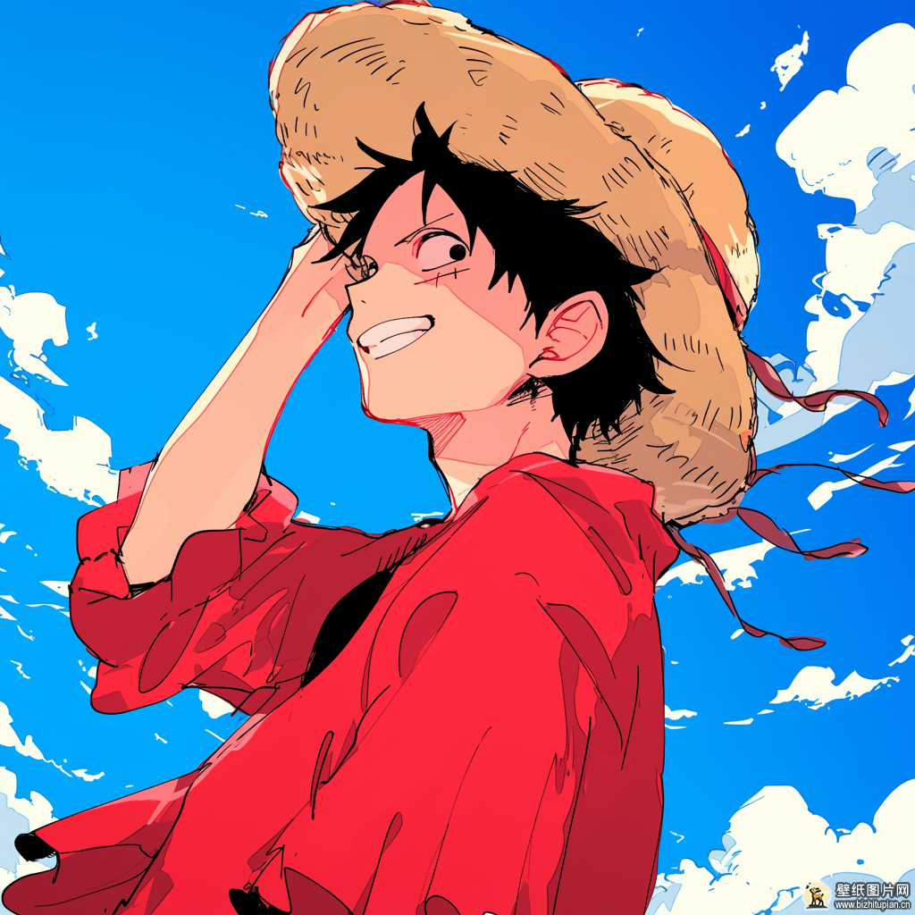 luffy-5453