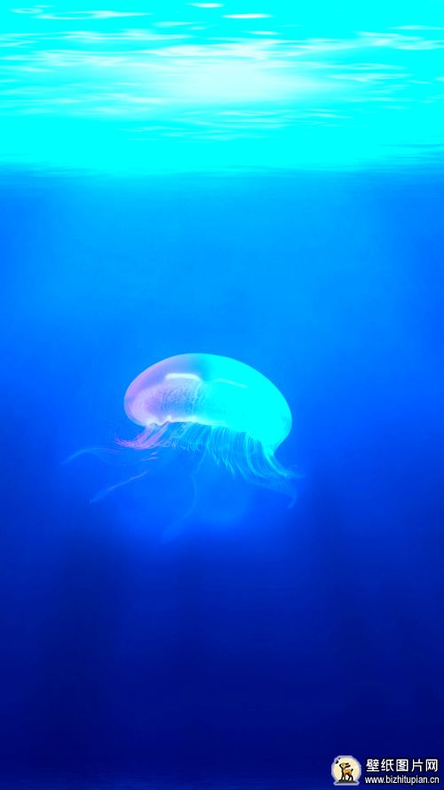海底水母手机壁纸 