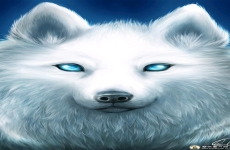 狼绘画图片 狼数字AI图片 狼手机壁纸图片  720x1280