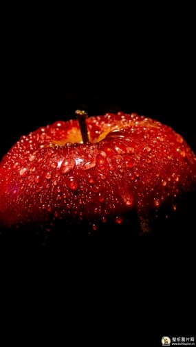 樱桃苹果摄影图片手机壁纸 高清樱桃苹果手机壁纸创意图片 720x1280