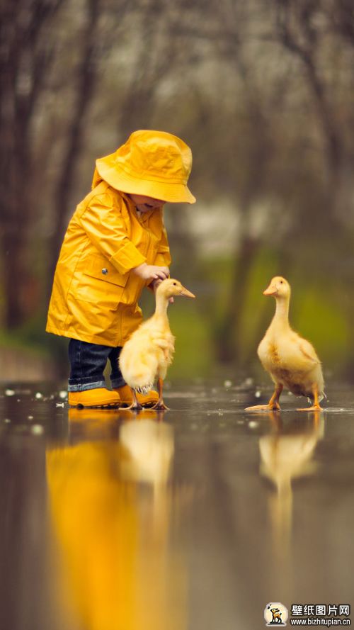 可爱的鹅反光雨衣小男孩摄影孩子图片