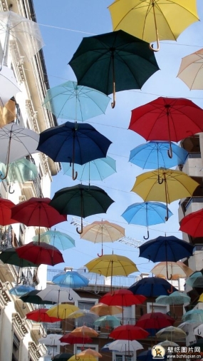 彩色雨伞图片大全大图素材 高清雨伞手机壁纸摄影图片