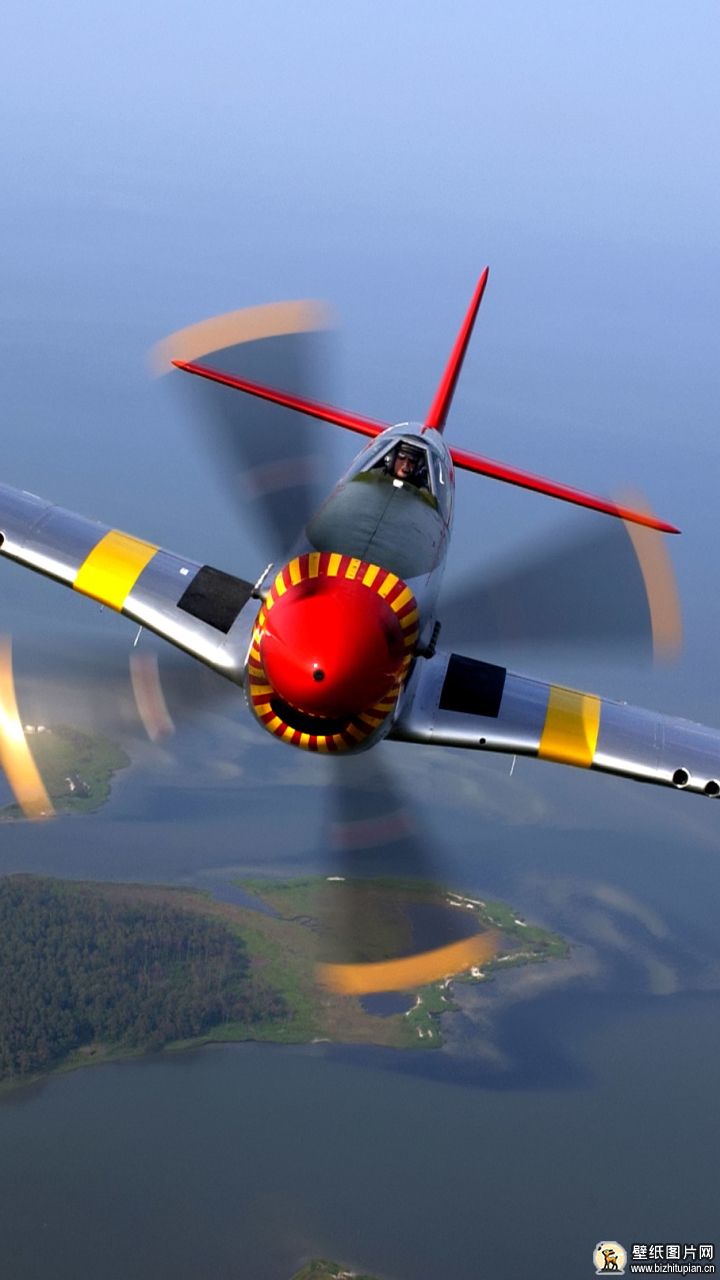 677316P-51战斗机