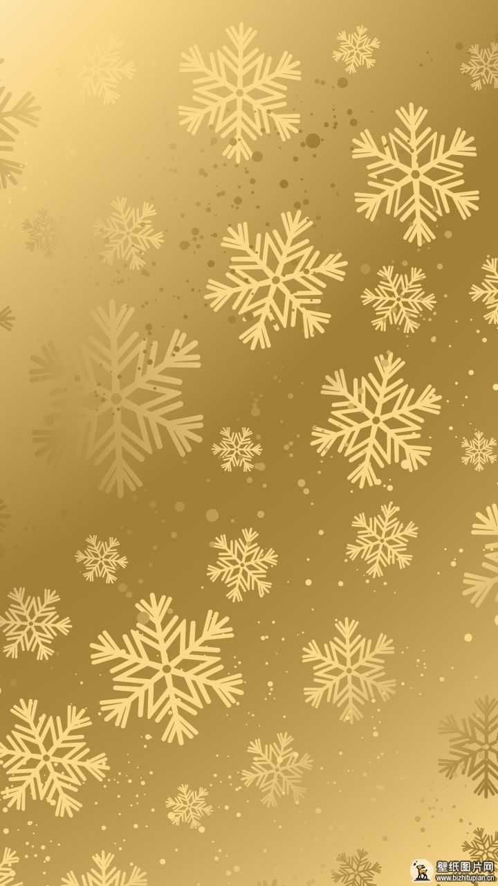 834355艺术雪花