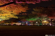 现代城市建筑图片素材 高清城市手机壁纸绘画图片