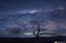 星空之夜深林图片素材 高清星空手机壁纸夜晚图片