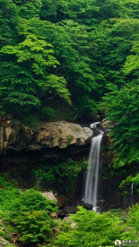 心情与瀑布共舞图片真实照片 高清瀑布手机壁纸图片
