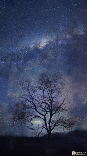 星空之夜深林图片素材 高清星空手机壁纸夜晚图片