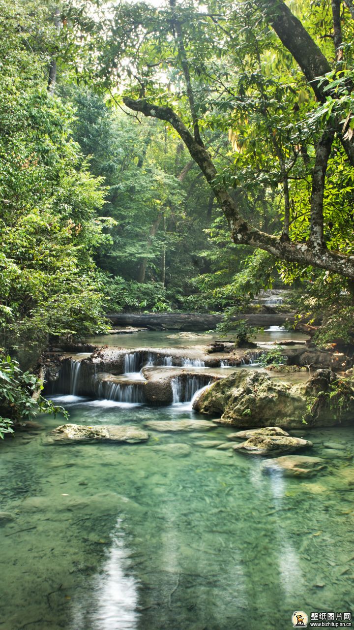 森林自然河流高清湖泊手机壁纸风景图片